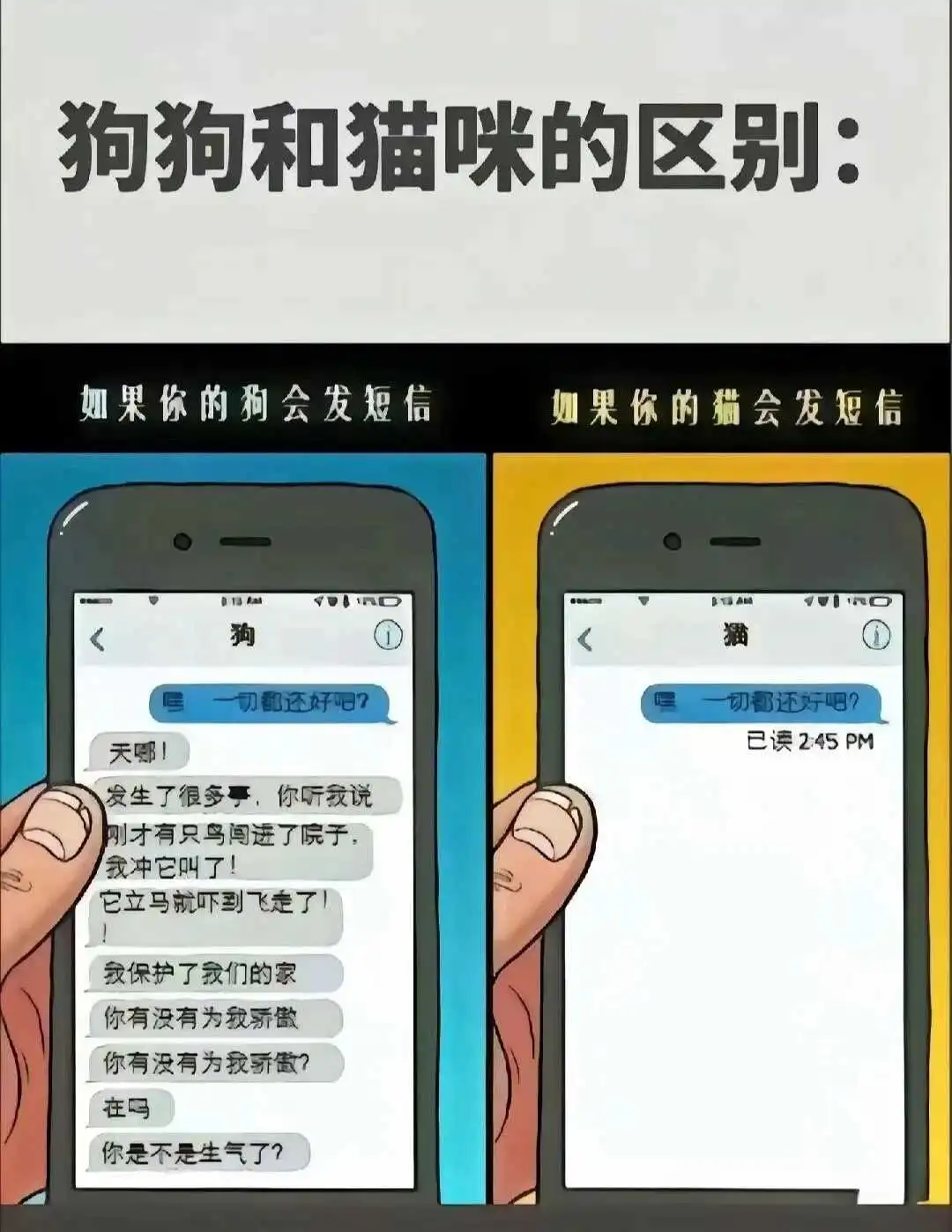 西檬之家-Brat属性详解：字母圈中的顽皮顺从者指南