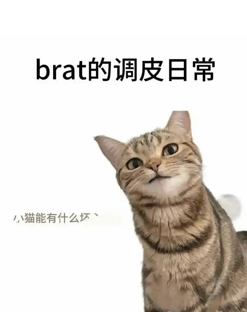 【西檬之家】字母圈的新人入圈指南，掌握BDSM核心术语与安全原则