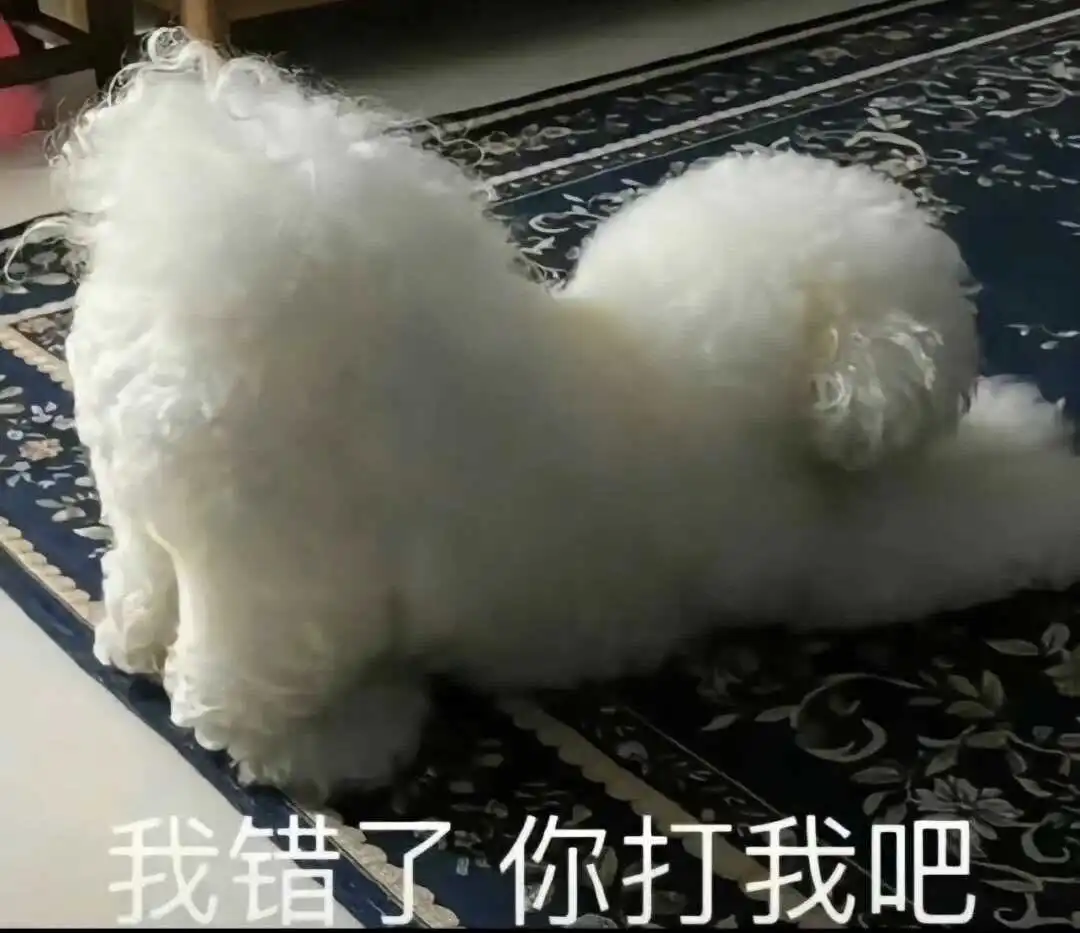 【西檬之家】小圈入门：Sp与管教关系的安全指南