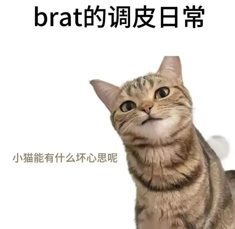 k9是什么 - 微信图片_20251203212836_109_19
