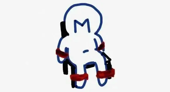 SM亚文化：实用指南