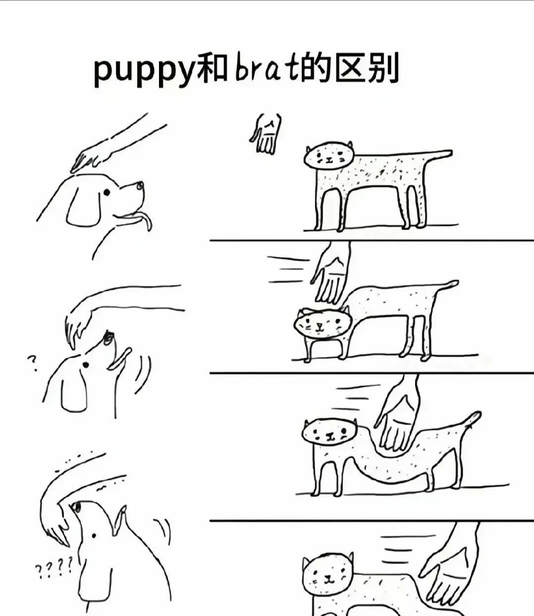 西檬之家-字母圈新人《大圈基础指南》，建立信任的SSC安全协议