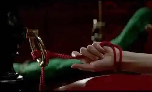 OTK - 2023_11_03_19_29_IMG_8860