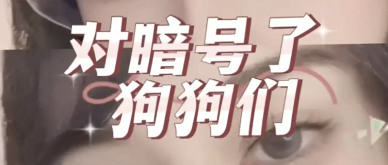 西檬之家-字母圈新人入圈：BDSM基础与术语全解析