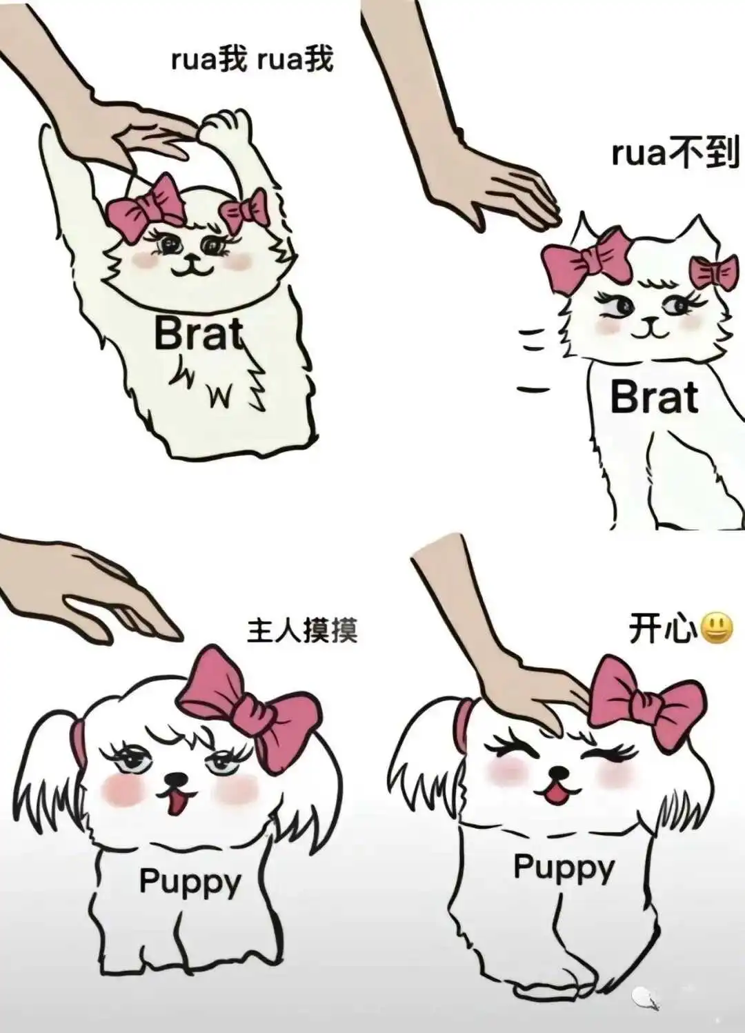 brat属性 - 2023_12_05_21_27_IMG_9363